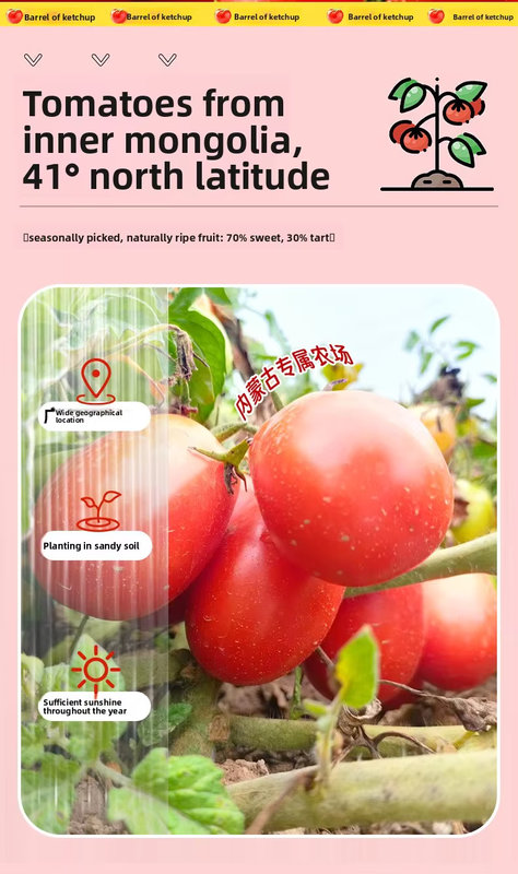 5_结果.jpg