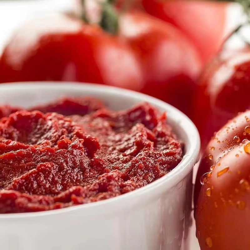 Tomato Ketchup 3000g Can-Sweet & Sour Taste Inner Mongolia Origin 365 Days Shelf Life Wholesale Restaurant Stir-Fry Condiment
