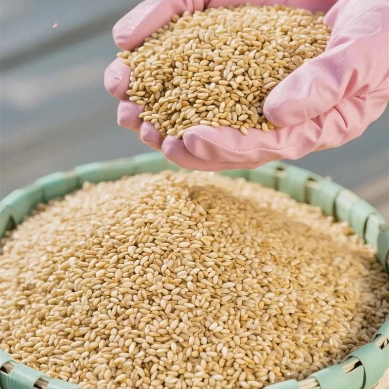 Henan Pure Stone Ground Sesame Oil OEM Private Label Cold Pressed 5L Bulk Seasoning for Cooking