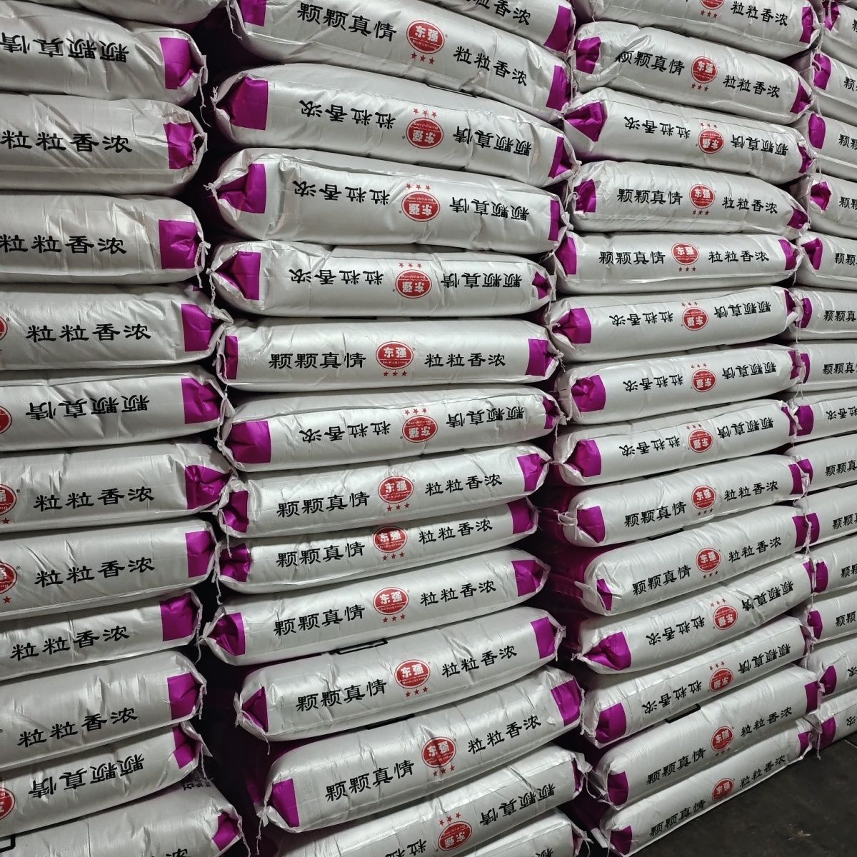 Fragrant fresh peeled white sesame 25kg, peeled raw sesame commercial
