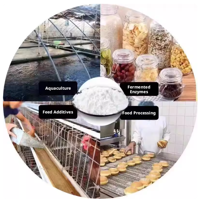 Food Grade Glucose Monohydrate Powder 25kg Henan Zhigong for Beverages Baking Candy Confectionery Custom Manufacturing OEM ODM