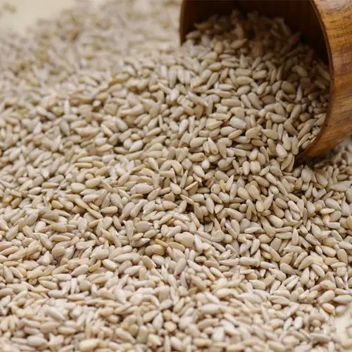 Raw Sunflower Seeds Kernels, New Crop, Original Flavor, for Snacks, Oil Pressing, Mooncake Filling, Pastry & Baking Ingredients, Wholesale Bulk