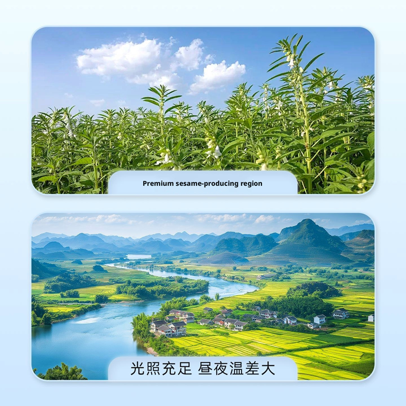 New Black Sesame Selection Instant No-Wash Clean No Sand Granules Full No Dyeing Wholesale